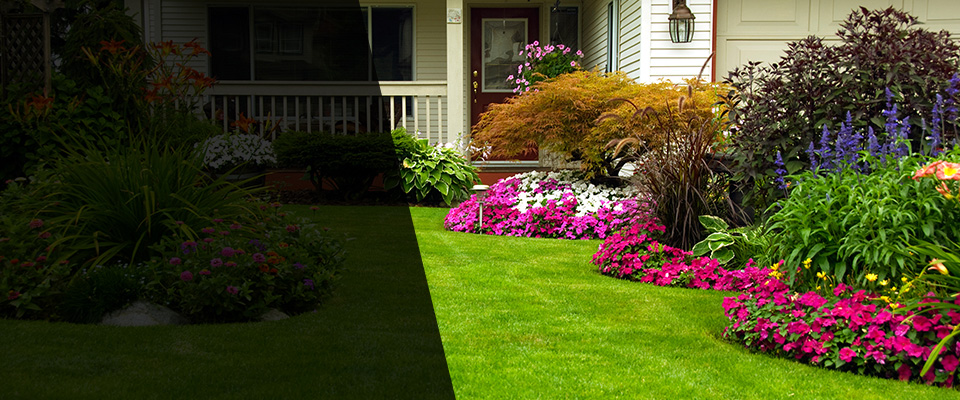 Orwell Landscapers