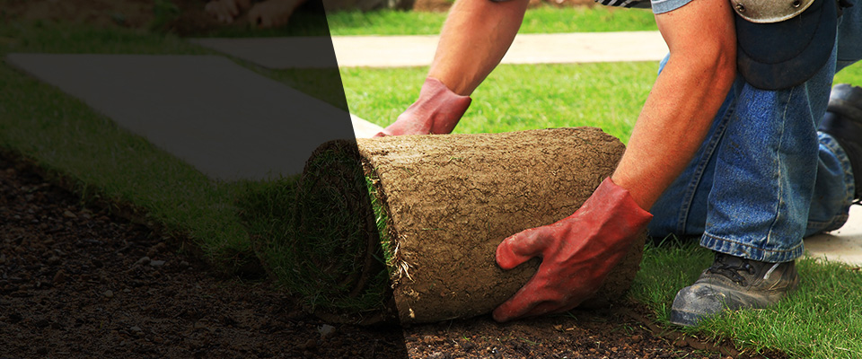 Orwell Landscapers